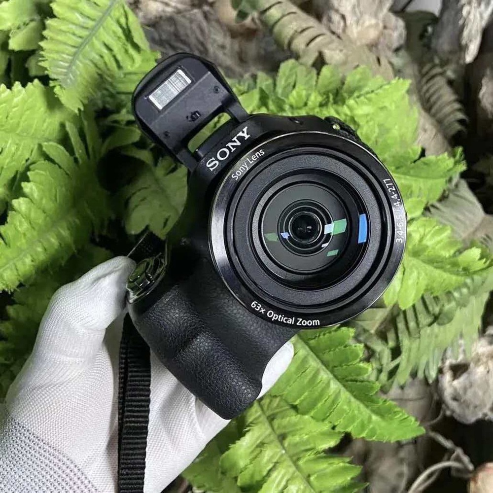 Sony Black Digital Camera with 63x Optical Zoom